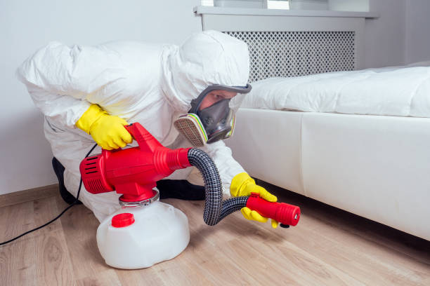 Emergency Pest Control Services in Carencro, LA